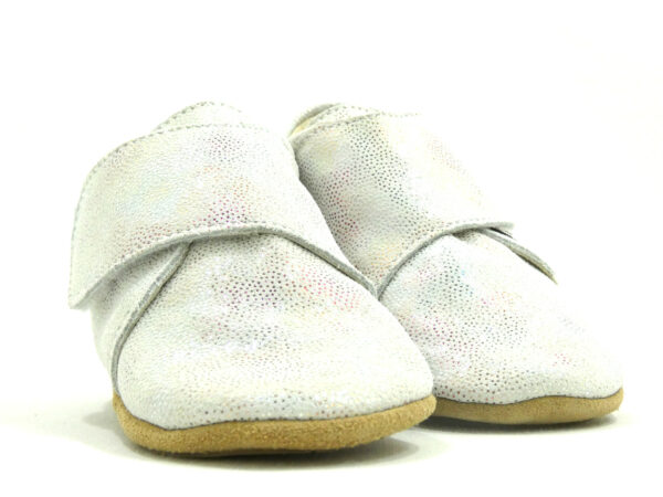 TACA – Image 2