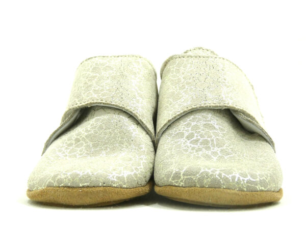TACA – Image 5