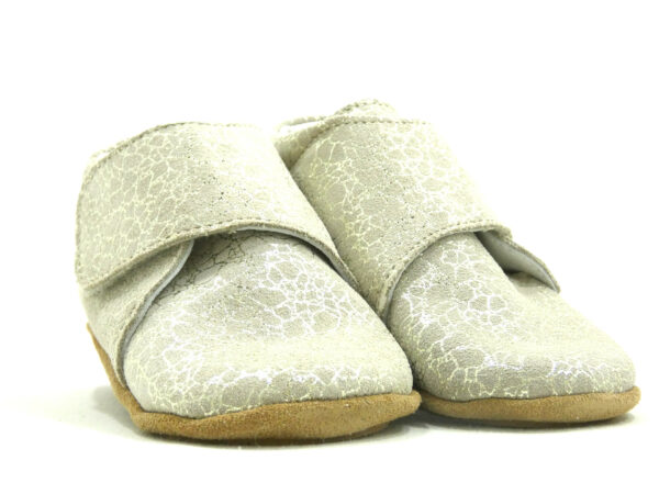 TACA – Image 6
