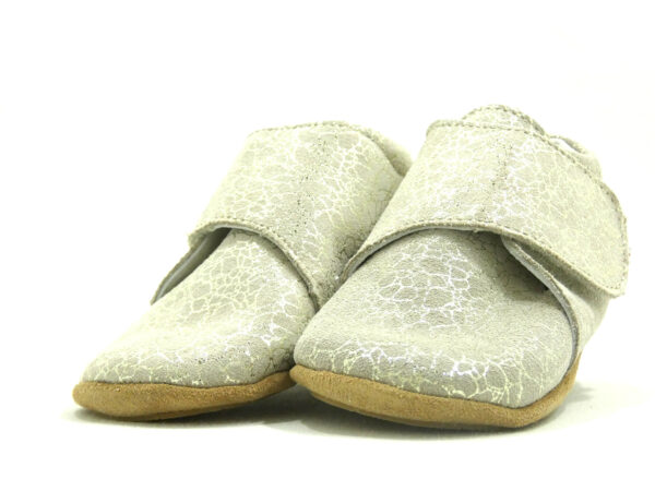 TACA – Image 7