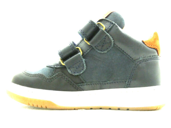 DARIO – Image 3