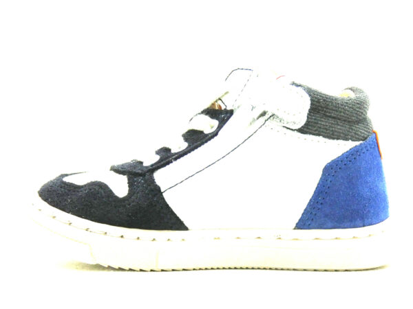 DINIS – Image 3