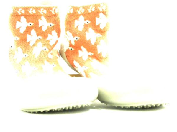 OISEAUX – Image 2