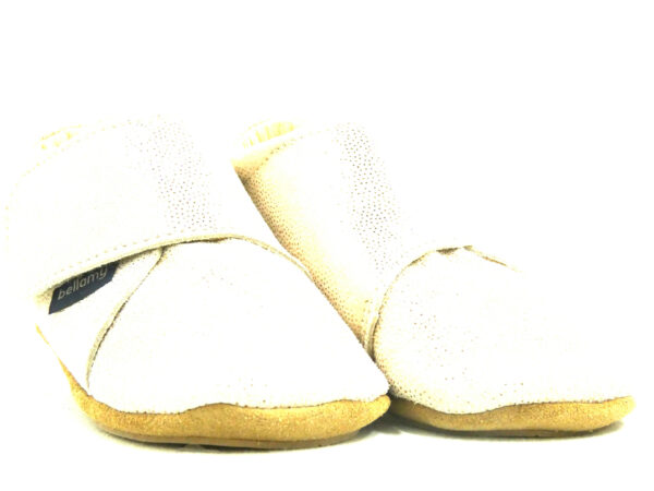 TACA – Image 2