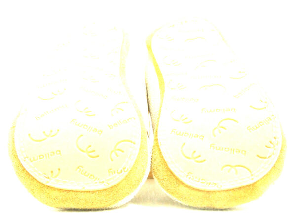 TACA – Image 4